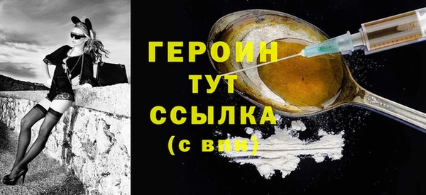 индика Снежногорск