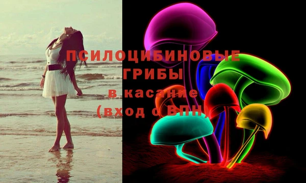 ПСИЛОЦИБИНОВЫЕ ГРИБЫ Белокуриха