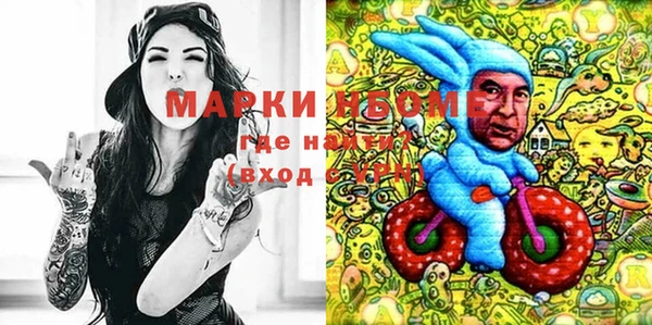 ПСИЛОЦИБИНОВЫЕ ГРИБЫ Белокуриха