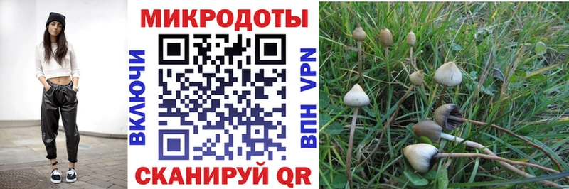 Галлюциногенные грибы Magic Shrooms  что такое   мега как войти  Кулебаки 